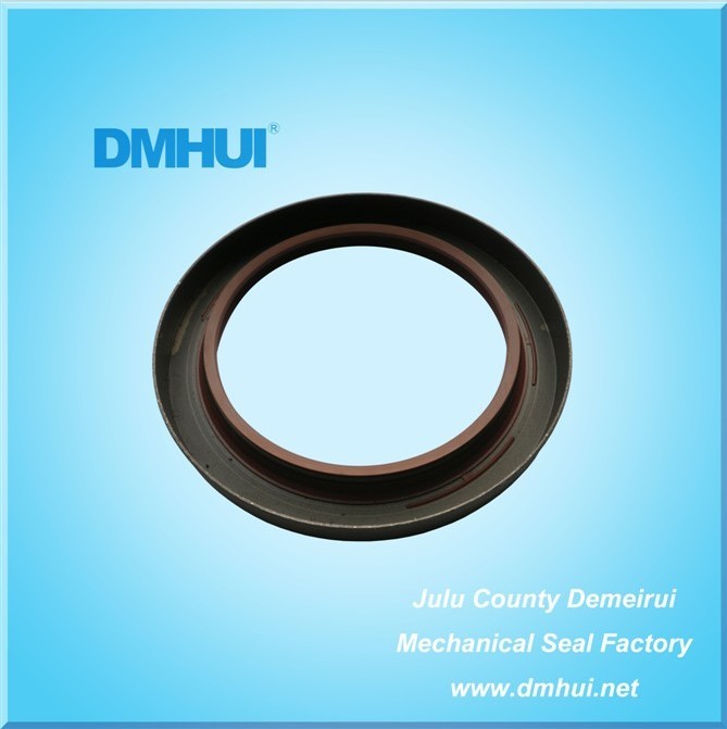 Gearbox Oil Seal 75*100*10